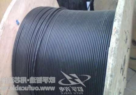 杨浦区12芯GYXTW中心束管式光缆制作 欧孚GYXTW光缆特点